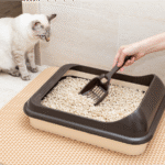 Female hand cleaning cat litter box with scoop at home showing clean space.