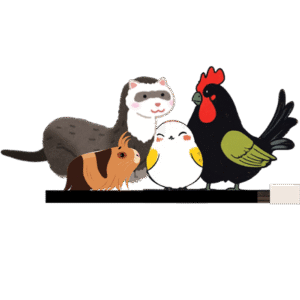 A ferret, a guinea pig, a bird and a chicken standing in a group drawn in a cartoon style